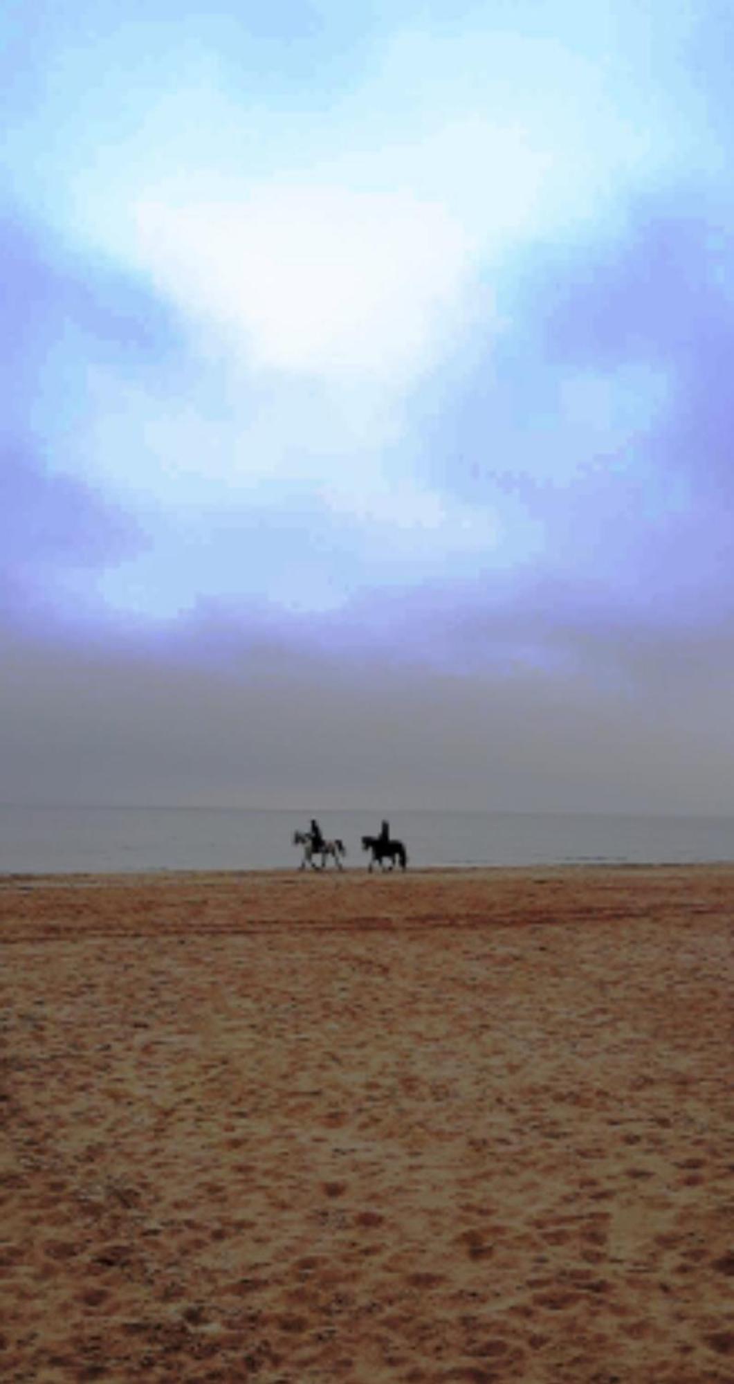 Haus Nemo - Appartement 5, Gemuetliches Appartement Mit Strandkorb, Strandnah 50 M 제바트헤링스도르프 외부 사진
